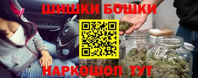 СК Лесосибирск