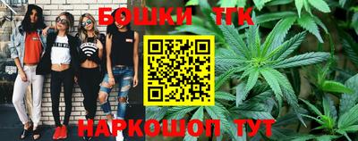 СК Лесосибирск